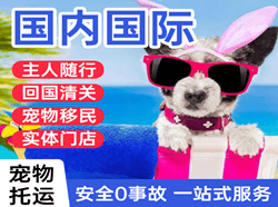 荷花空运地址国际宠物托运 【国